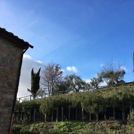 Ledonia Holiday home